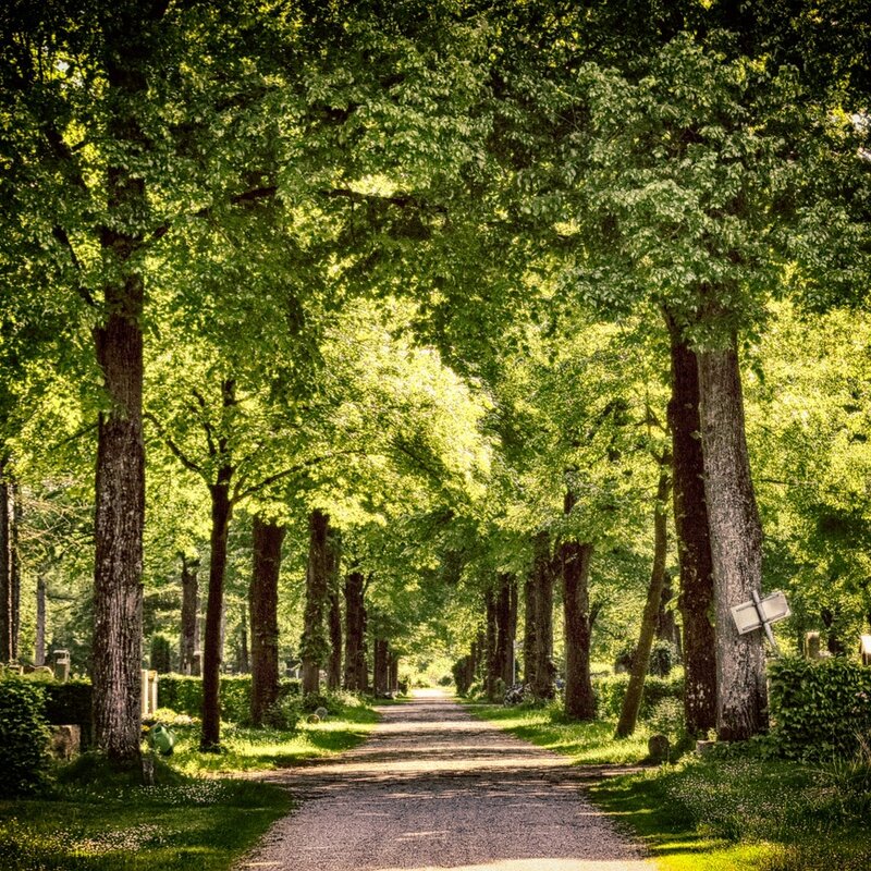 https://pixabay.com/de/photos/weg-wald-bäume-friedhof-natur-3668344/ | © alexa