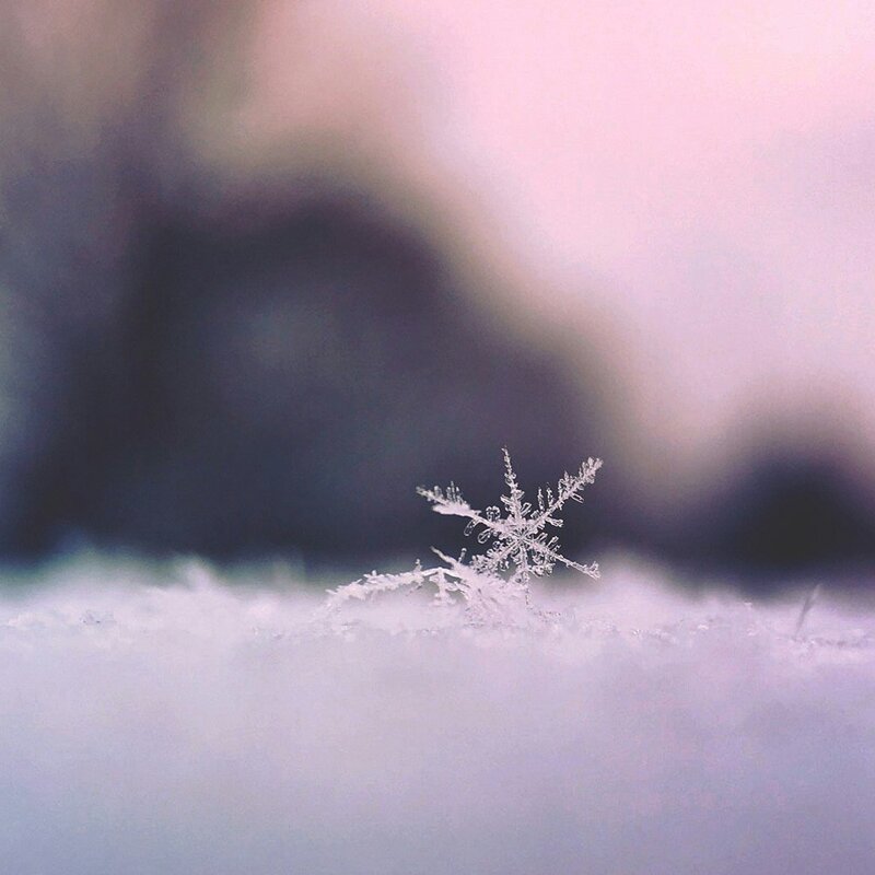 unsplash | © aron burden