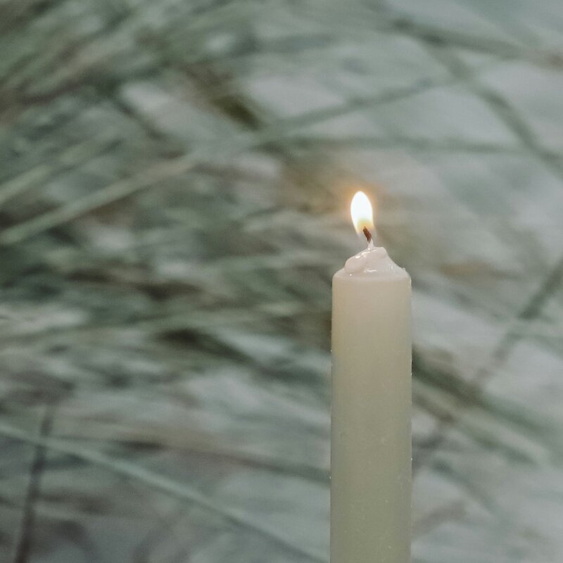 unsplash.com | © katharina bill