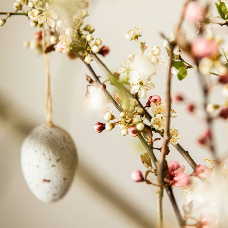 unsplash.com | © kaja reichardt