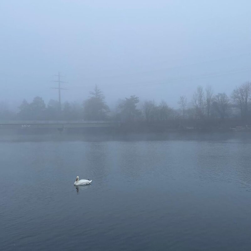 roy jelahu | © roy jelahu