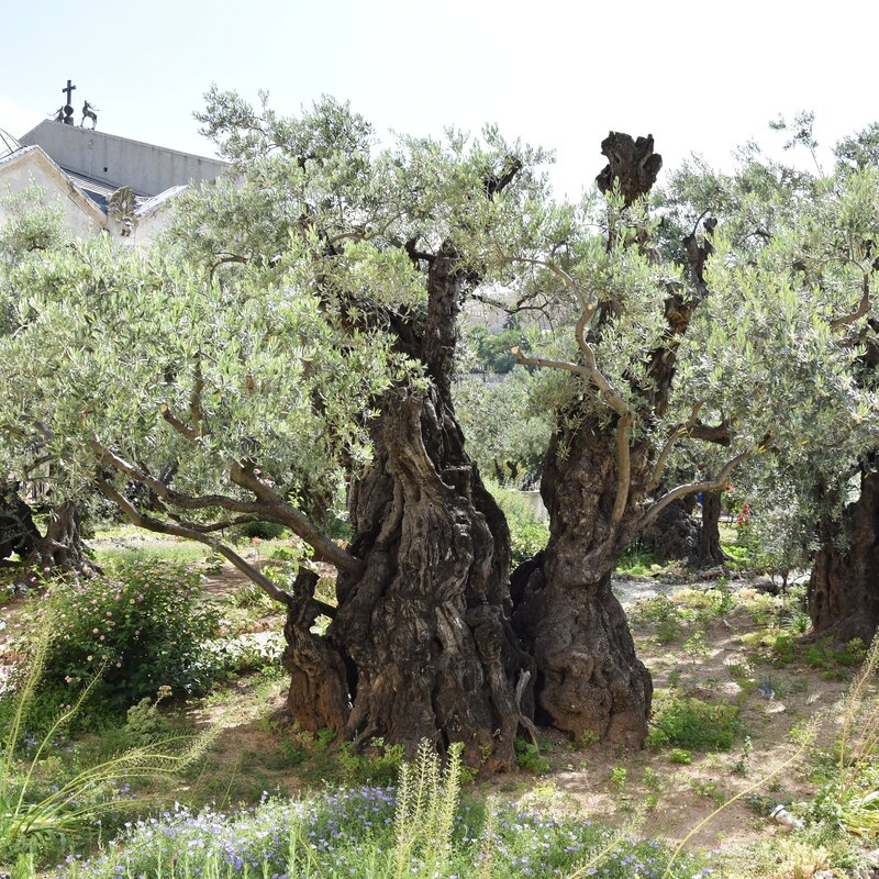 annina schmidiger spielmann | © annina schmidiger spielmann