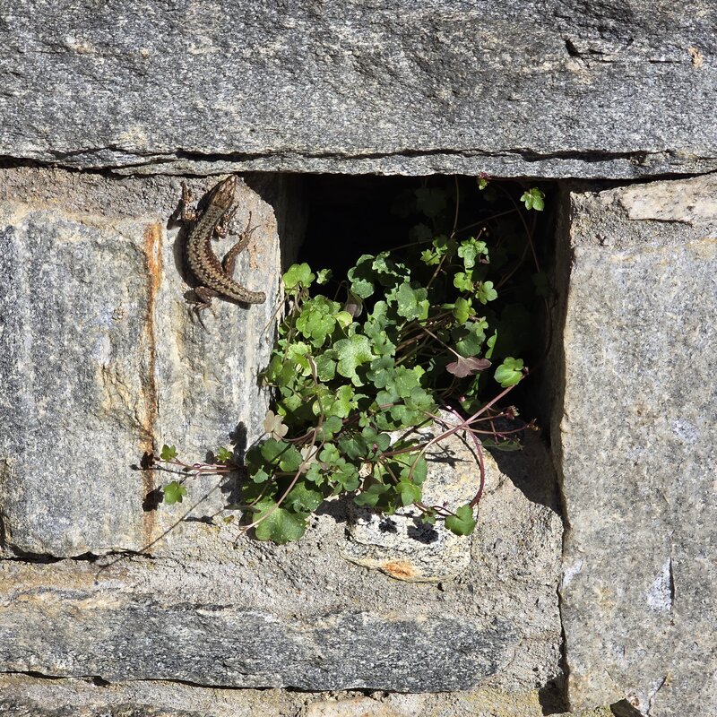 bernadette haefliger | © bernadette haefliger